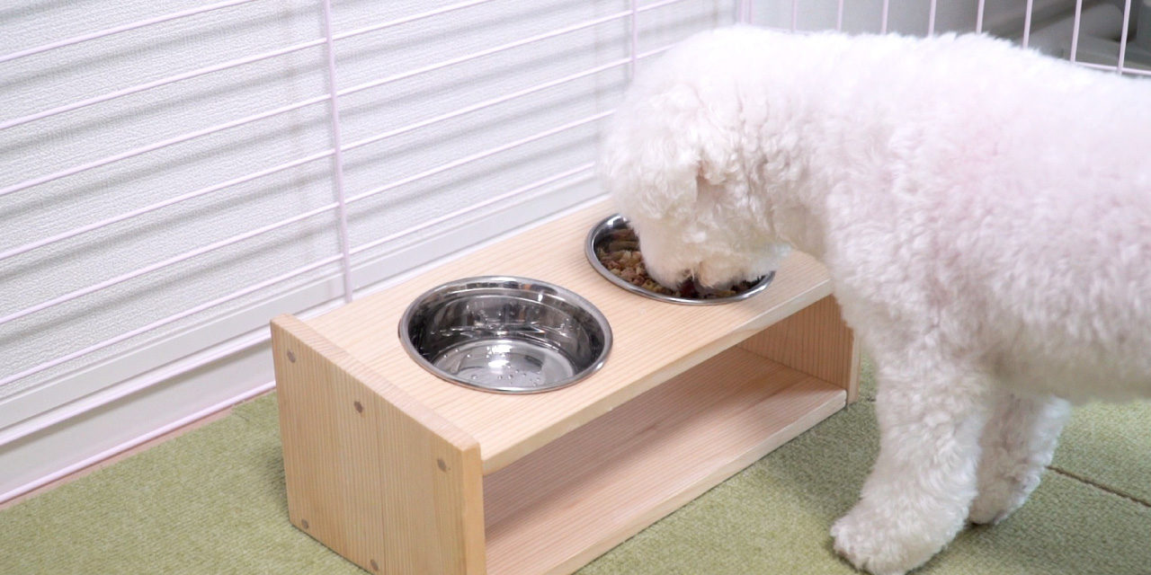 大事な愛犬・愛猫に！体に合った高さの食器台を作ろう！Pet Food Table DIY