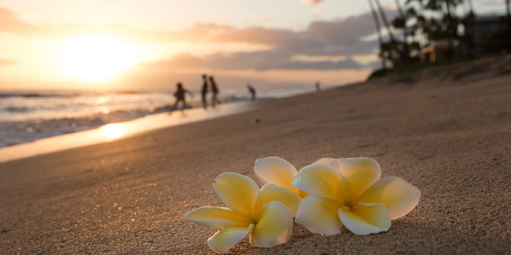 hawaii_beach