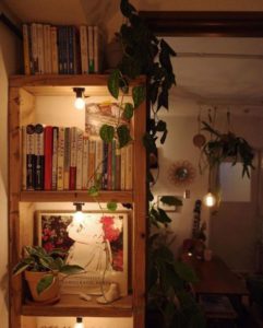 本棚には蔓タイプの植物