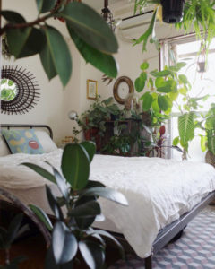 植物に囲まれたベッドルーム